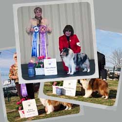 2012 Specialty Show Photos