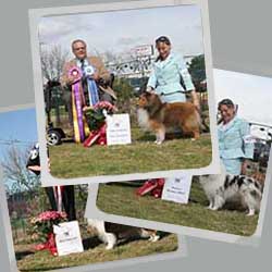 2016 Specialty Show Photos