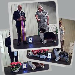 2017 Specialty Show Photos
