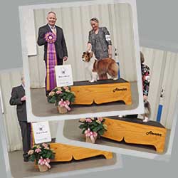 2019 Specialty Show Photos