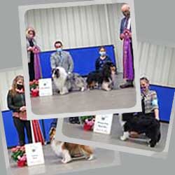 2021 Specialty Show Photos