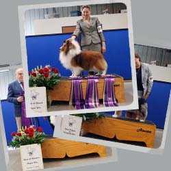 2022 Specialty Show Photos