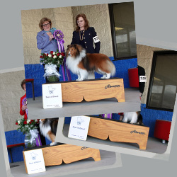 2023 Specialty Show Photos