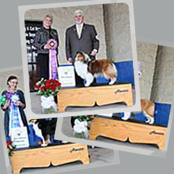 2024 Specialty Show Photos