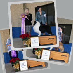 2025 Specialty Show Photos