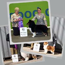 2014 Specialty Show Photos