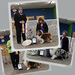 2017 Specialty Show Photos