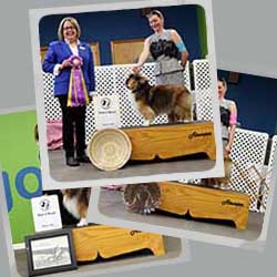 2018 Specialty Show Photos