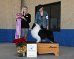 Best of Breed