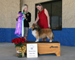 Best of Winners, Winners Dog, Best Puppy in Classes