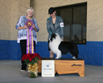 Best of Breed