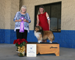 Reserve Winners Dog