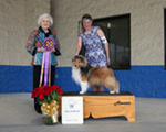 Best of Breed