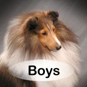 Boys Index button